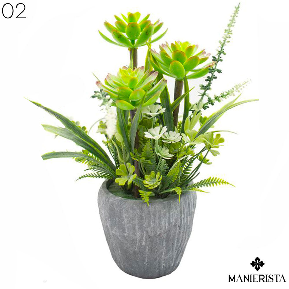 Vaso fiorito con piante grasse