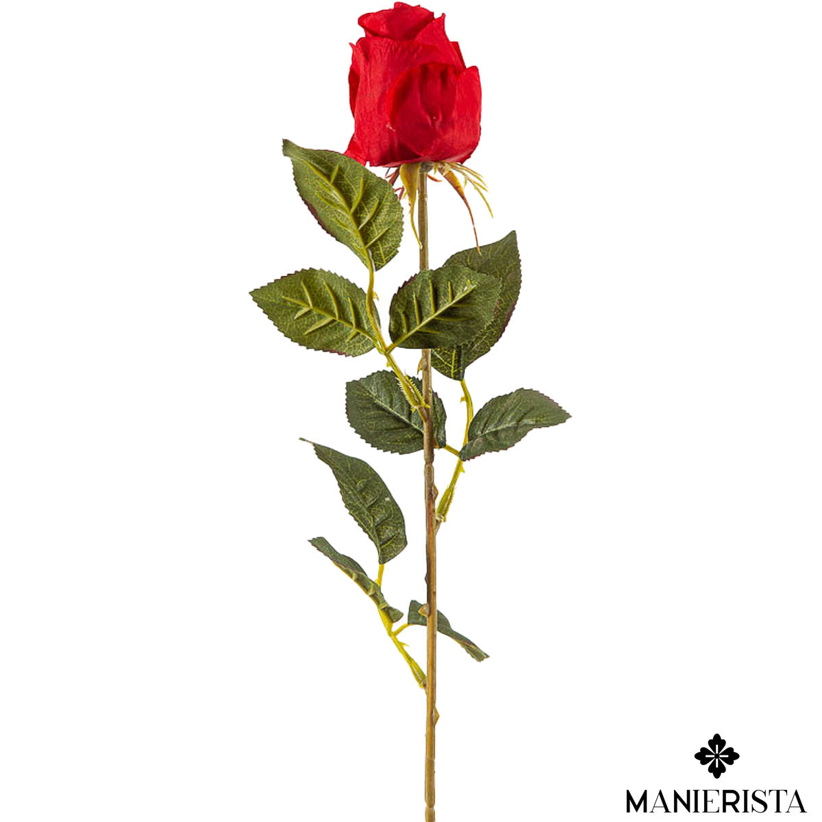 Bocciolo di rosa velvet