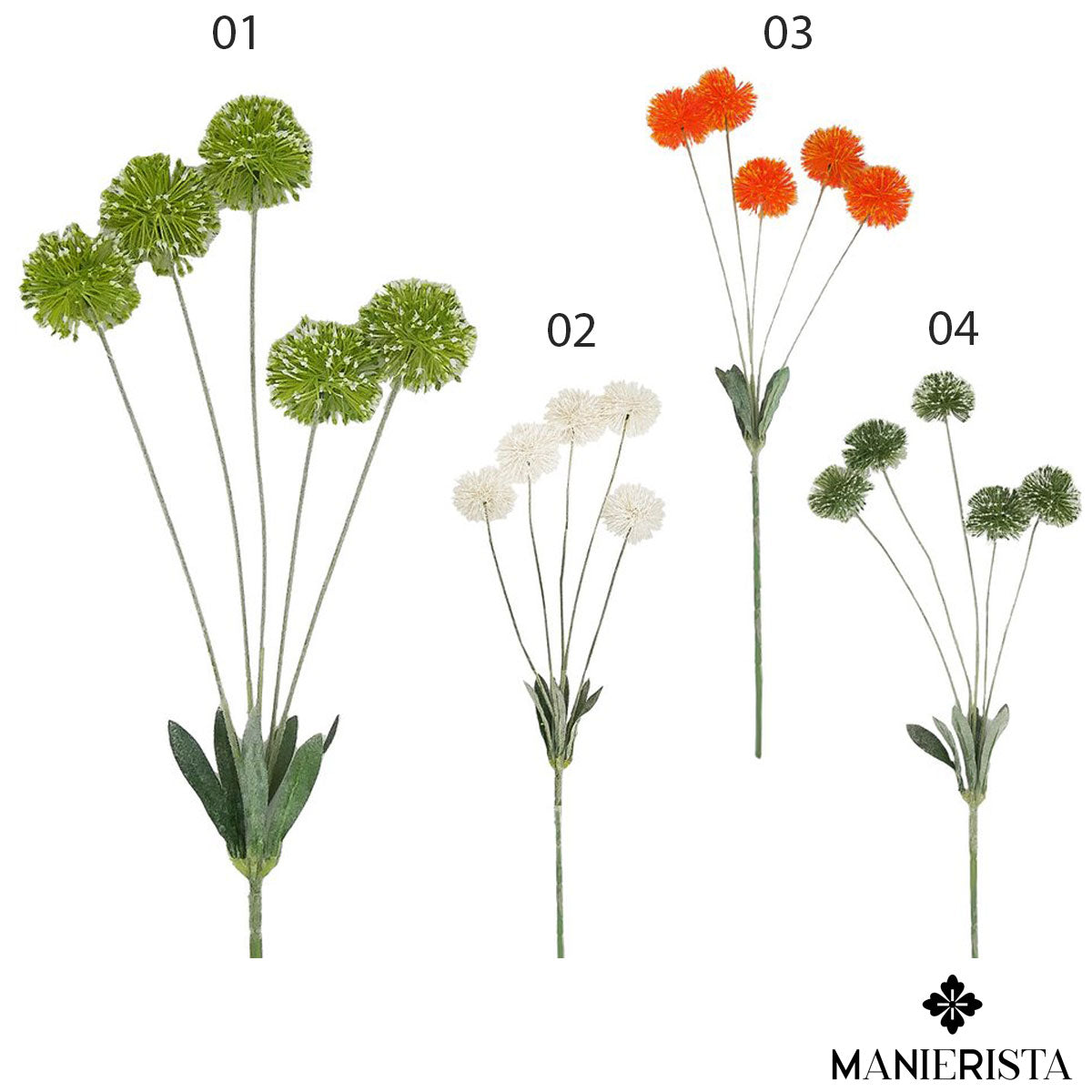 Tralcio di fiore dell'aglio