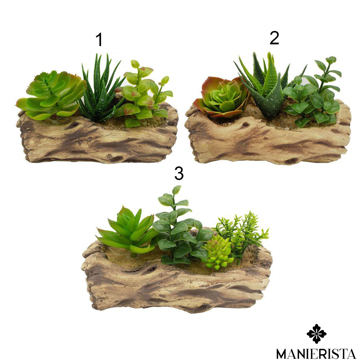 Piantina in vaso di cemento