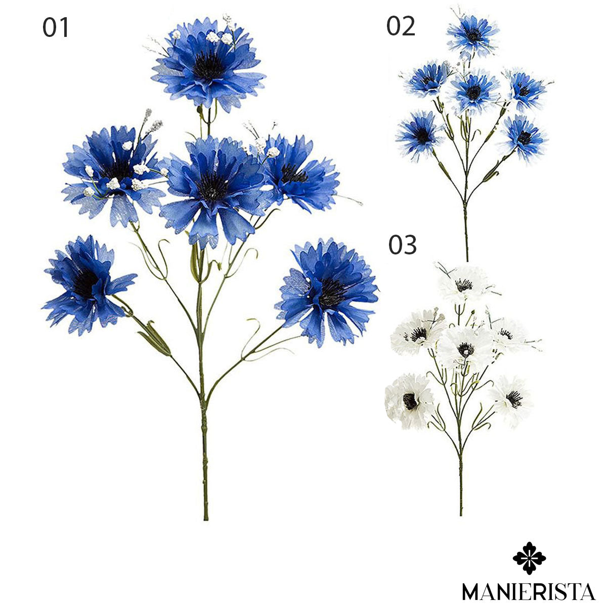 Fiordaliso con gypso