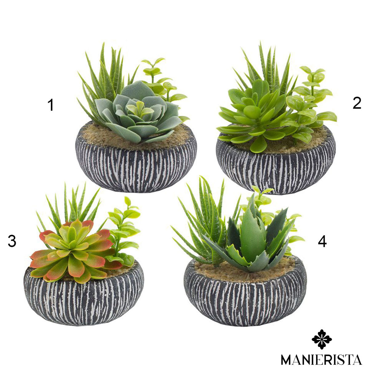 Vaso tondo nero con pianta grassa