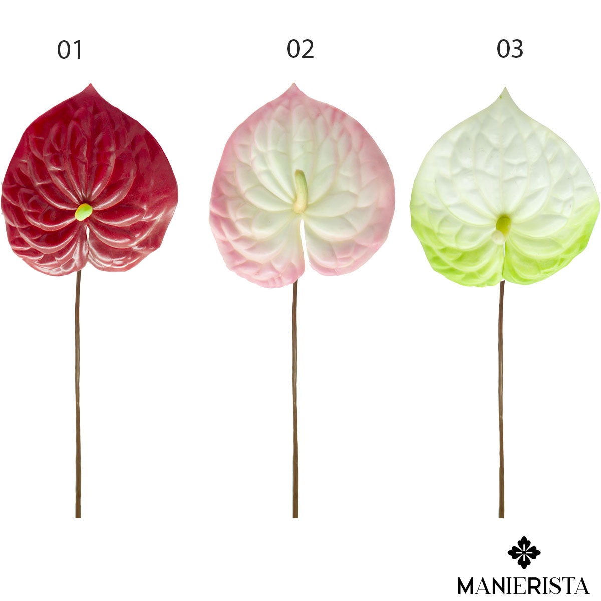 Anthurium