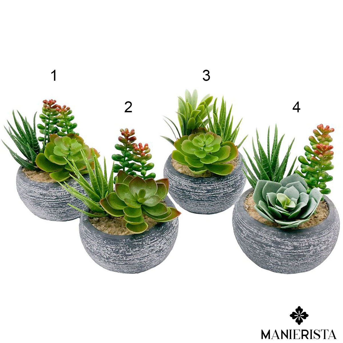 Vaso tondo grigio con pianta grassa