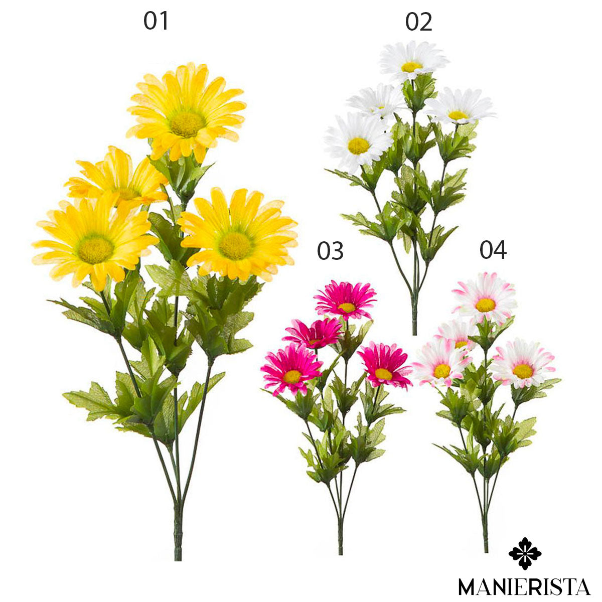 Tralcio di margheritone