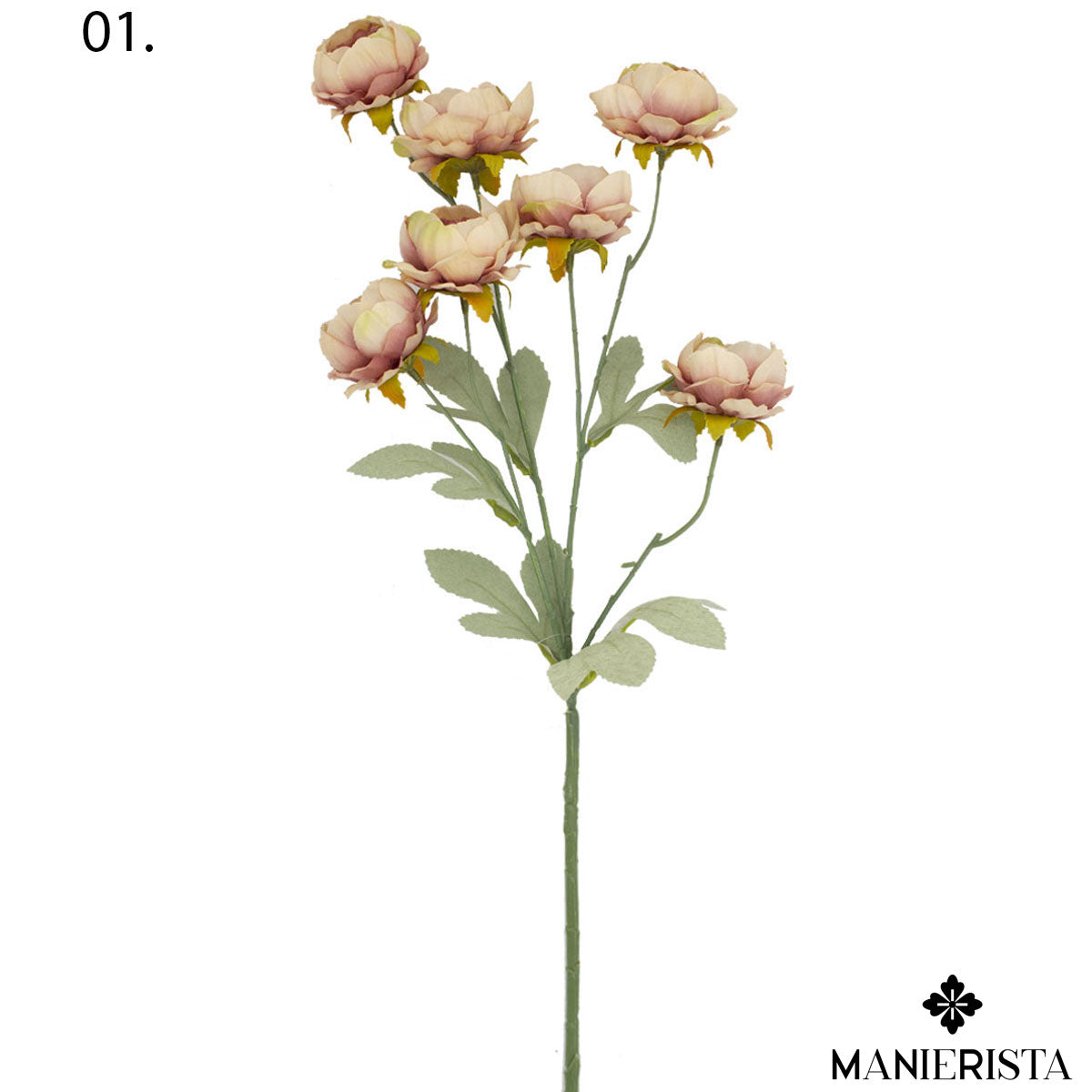 Tralcio di mini peonie