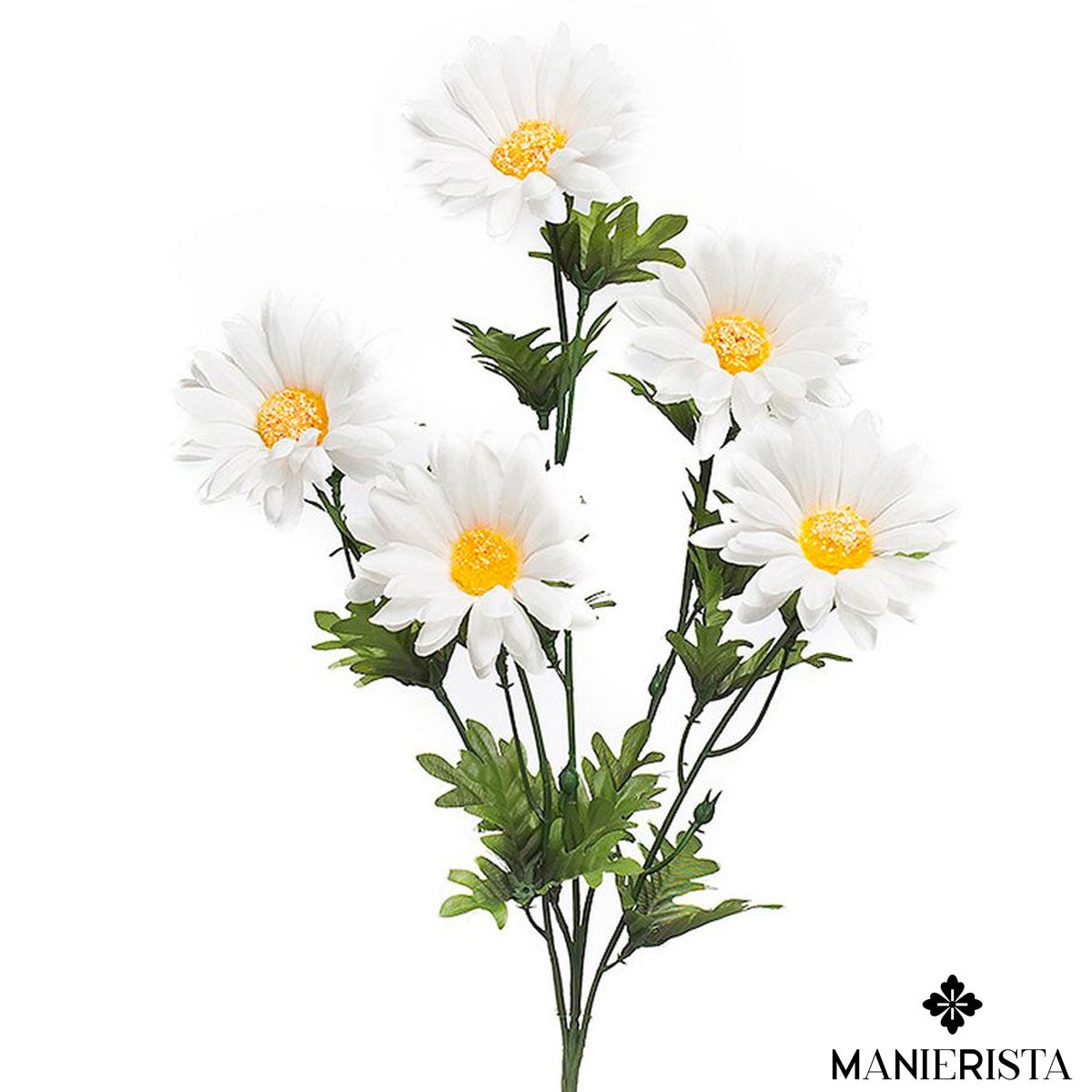 Tralcio di margheritone - bianco