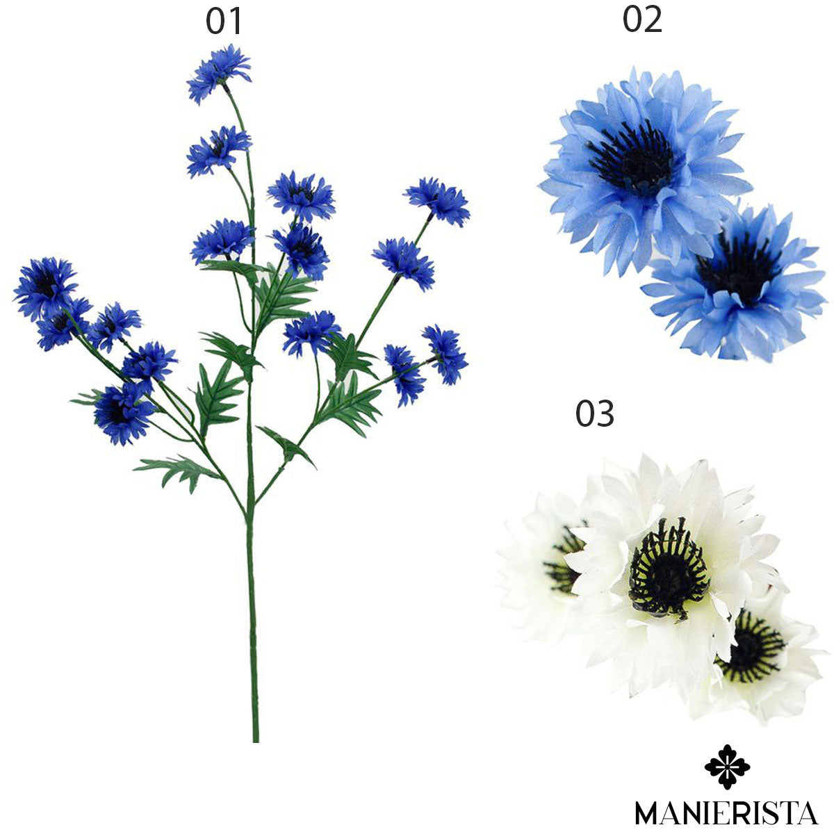 Tralcio di fiordaliso