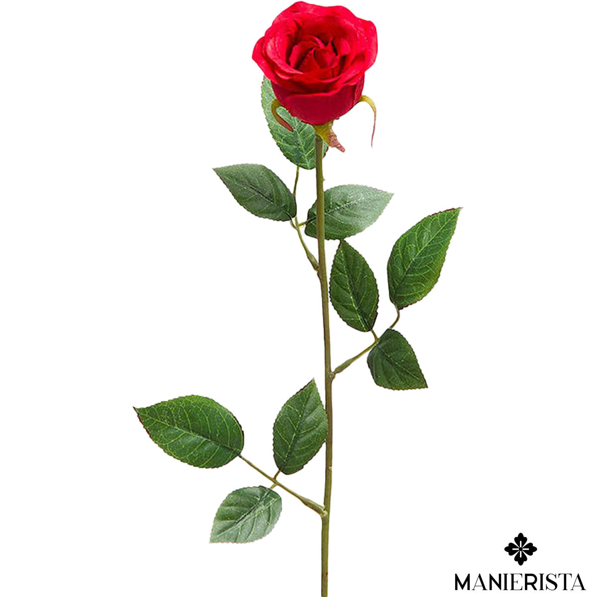 Mini bocciolo - rosso