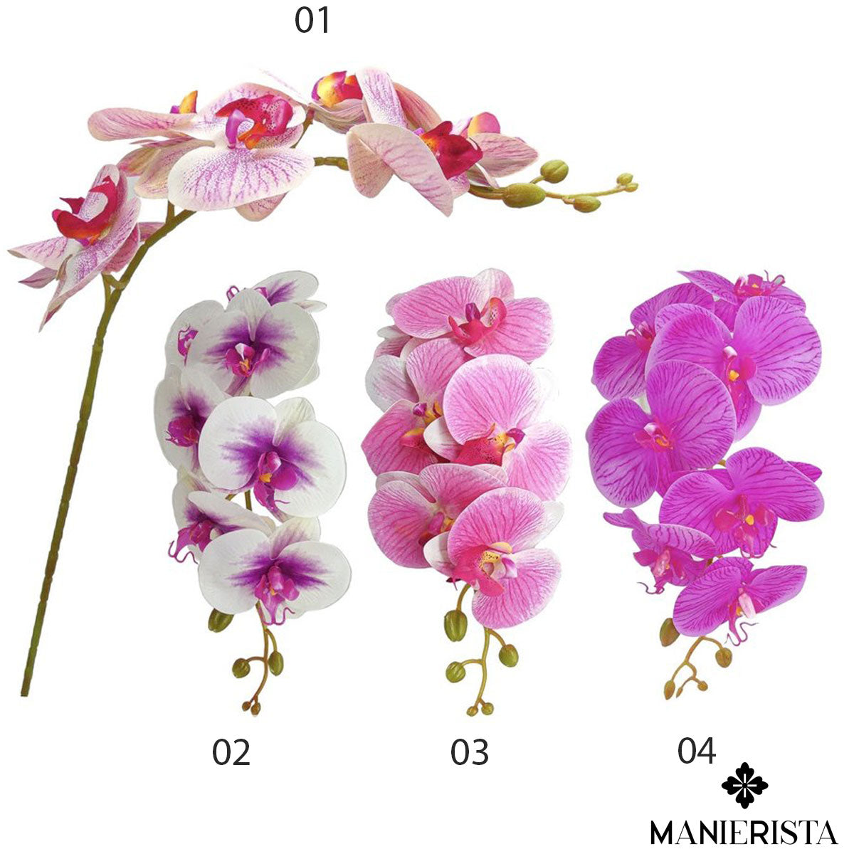 Ramo di Phalaenopsis con 7 fiori