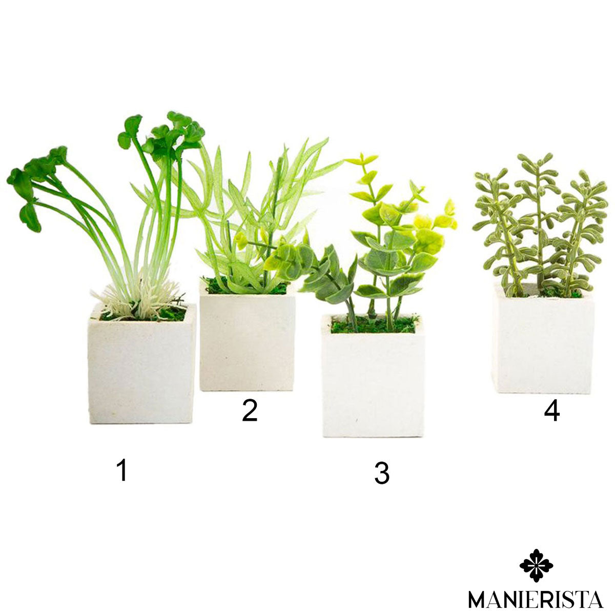 Vasetto piante aromatiche