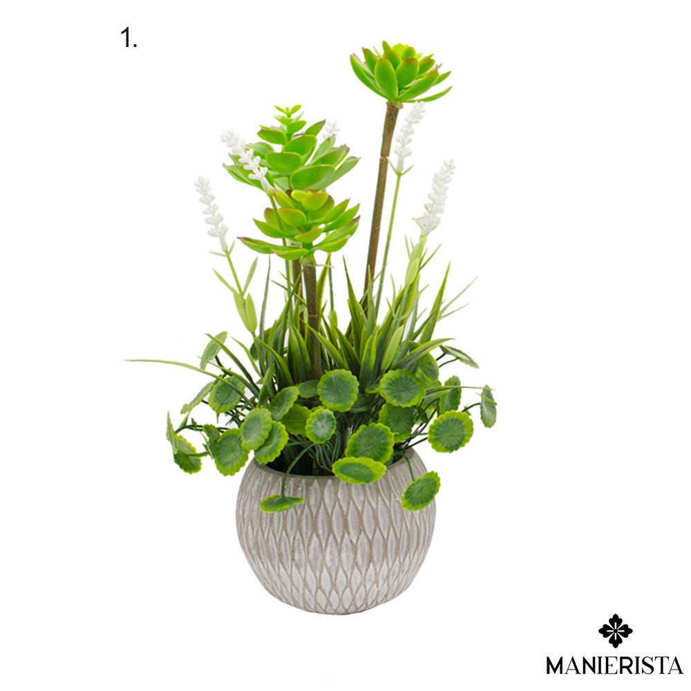 Vaso in cemento con pianta grassa