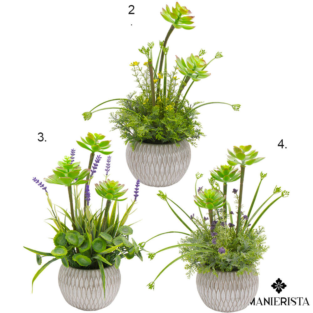 Vaso in cemento con pianta grassa