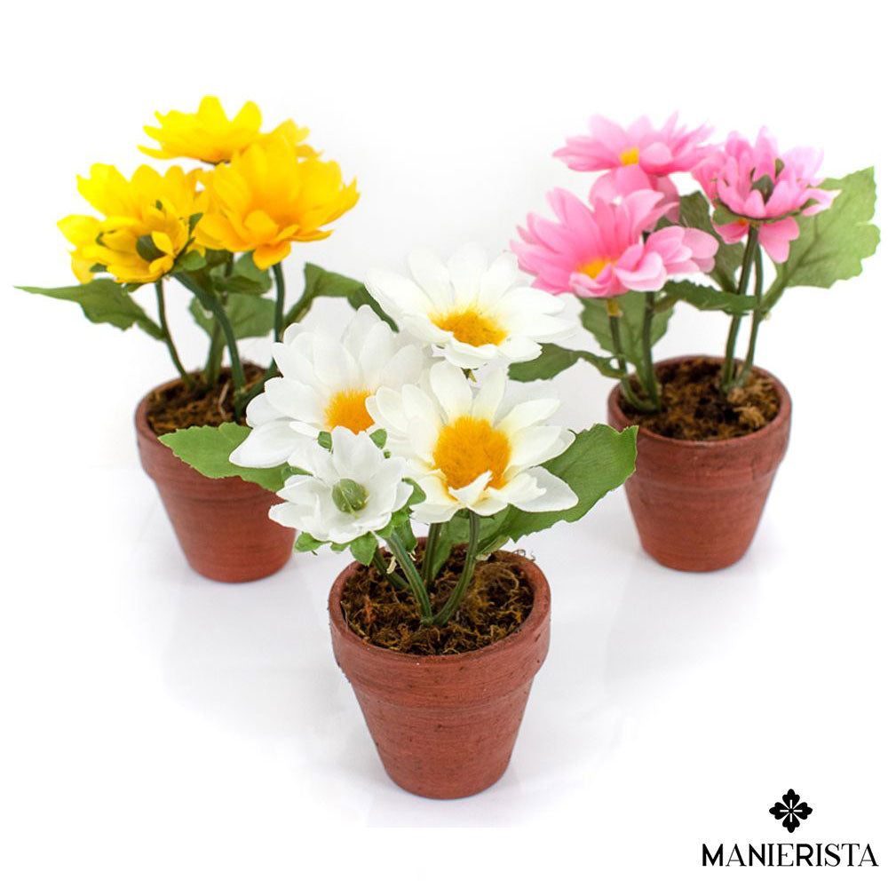 Margherite in vasetto