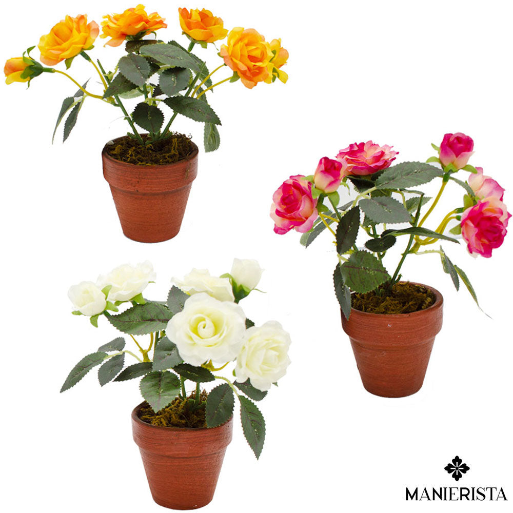 Vasetto di mini roselline