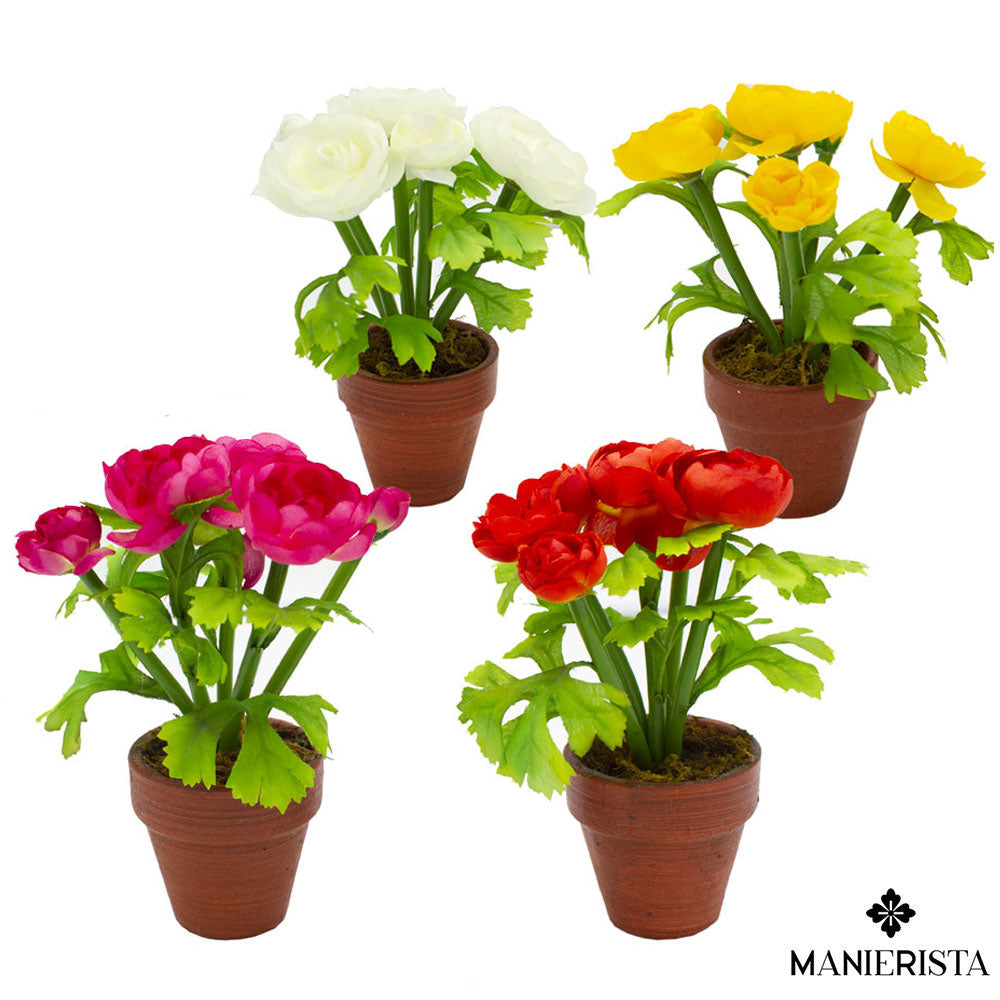 Vasetto di ranuncoli