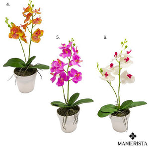 Phalenopsis in vaso - 45 cm