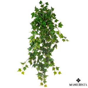 Edera cadente con 241 foglie - 75 cm