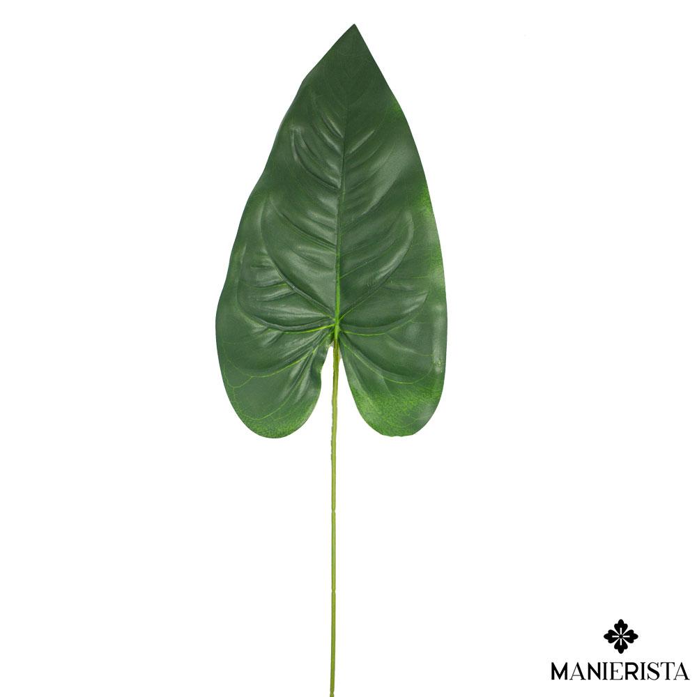 Foglia di dieffenbachia