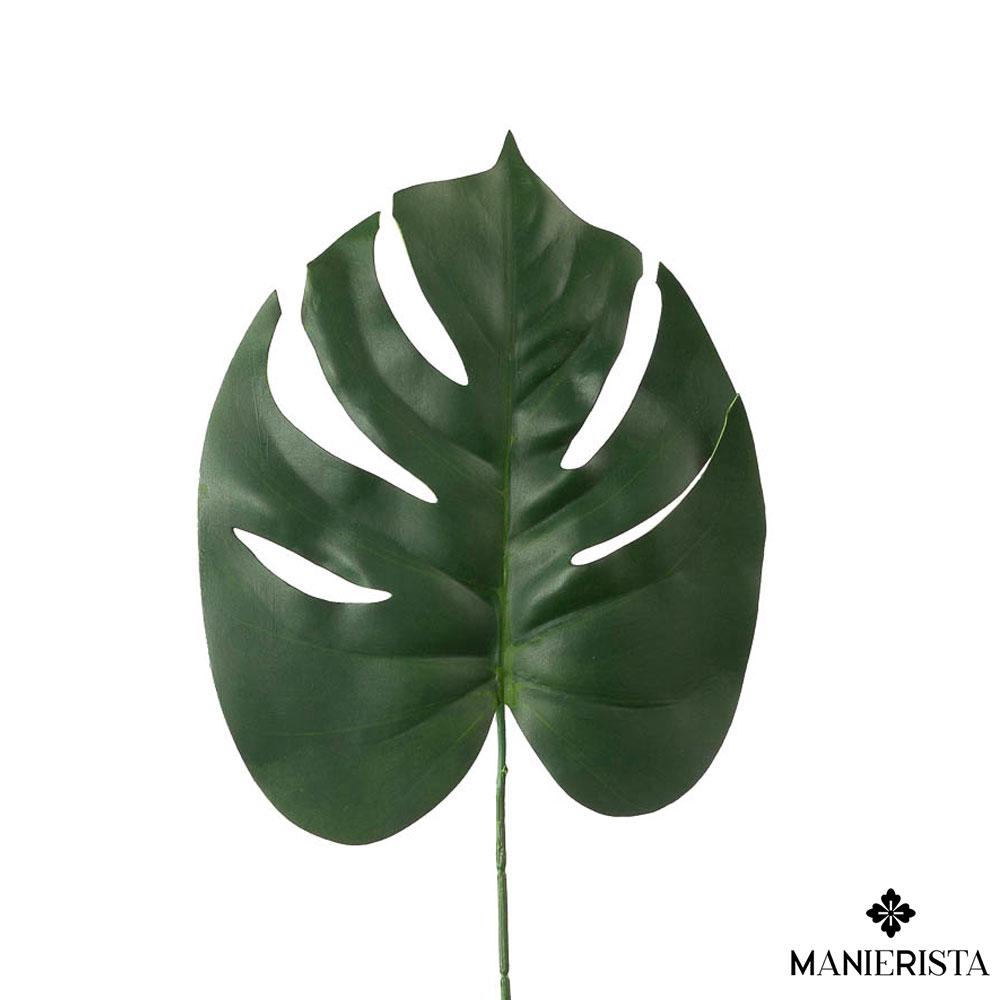 Foglia di filodendro