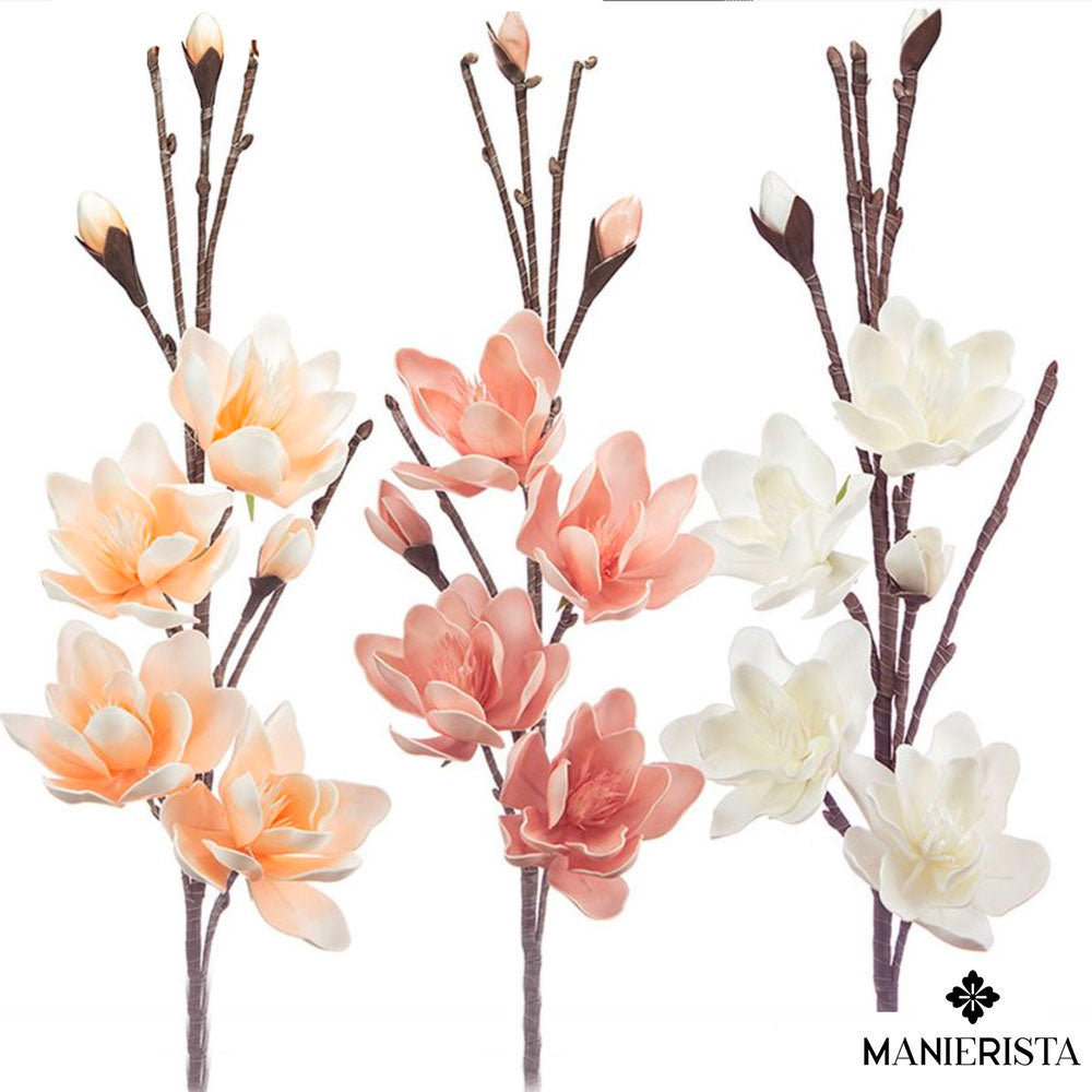 Magnolia grandiflora con sette fiori