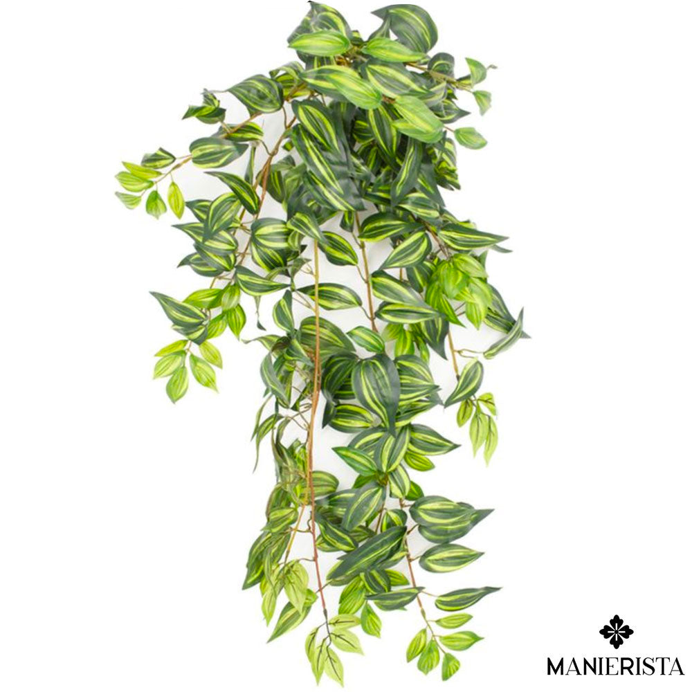 Miseria cadente con 241 foglie - 75 cm