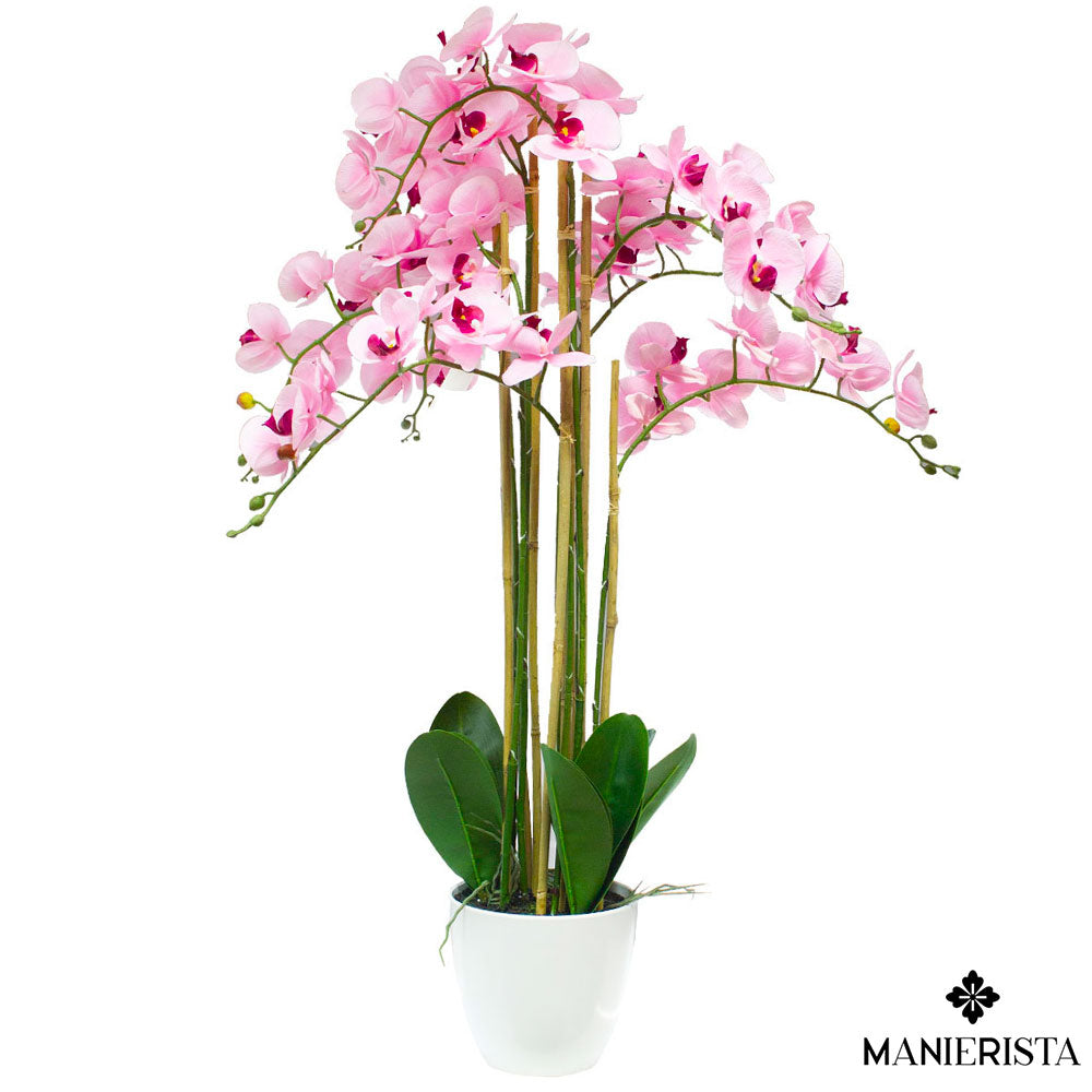Orchidea in vaso - 115 cm