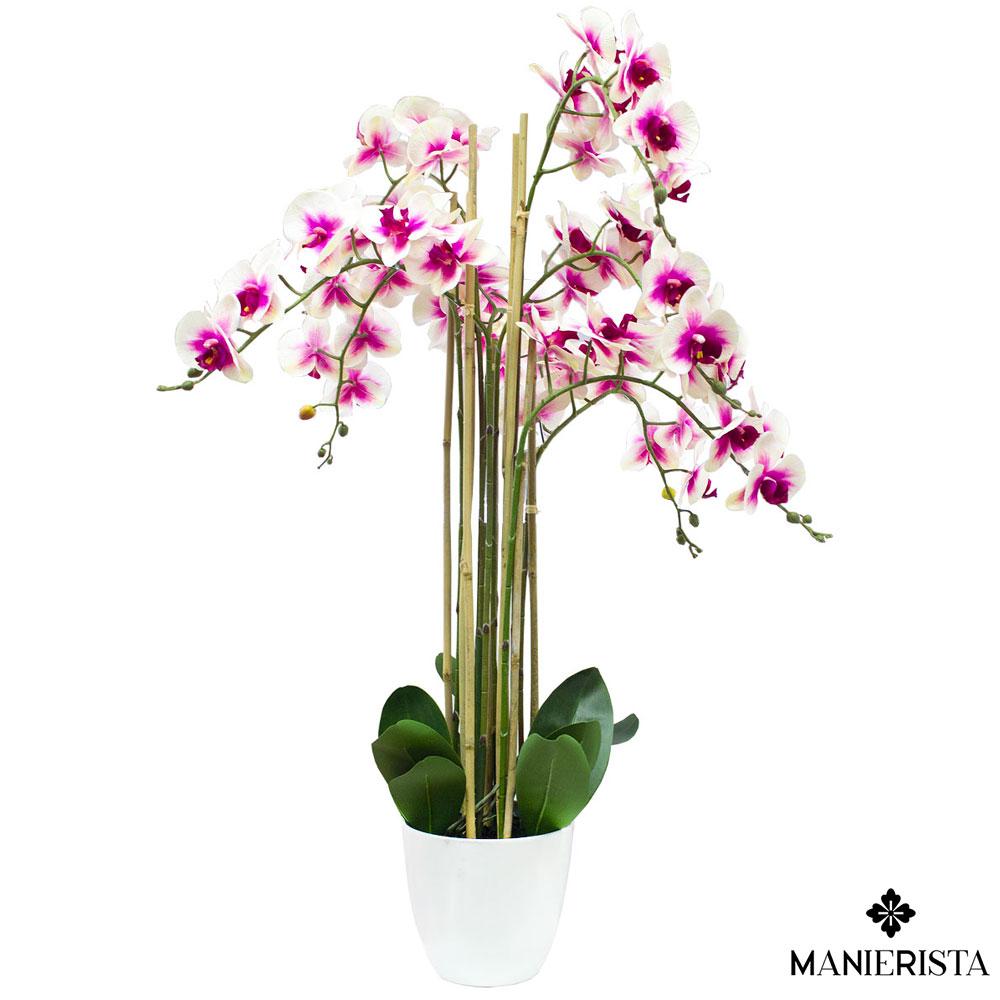 Orchidea in vaso - 115 cm