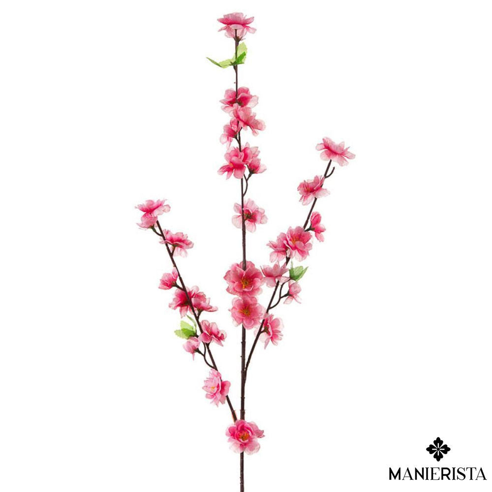 Ramo con fiori di pesco