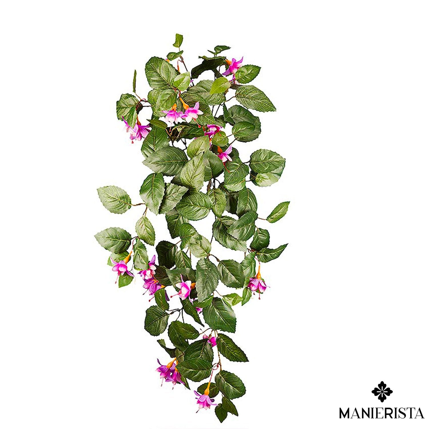 Fucsia cadente