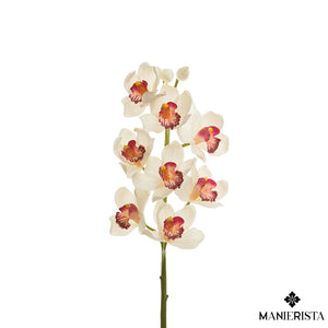 Ramo di orchidea cymbidium con 10 fiori