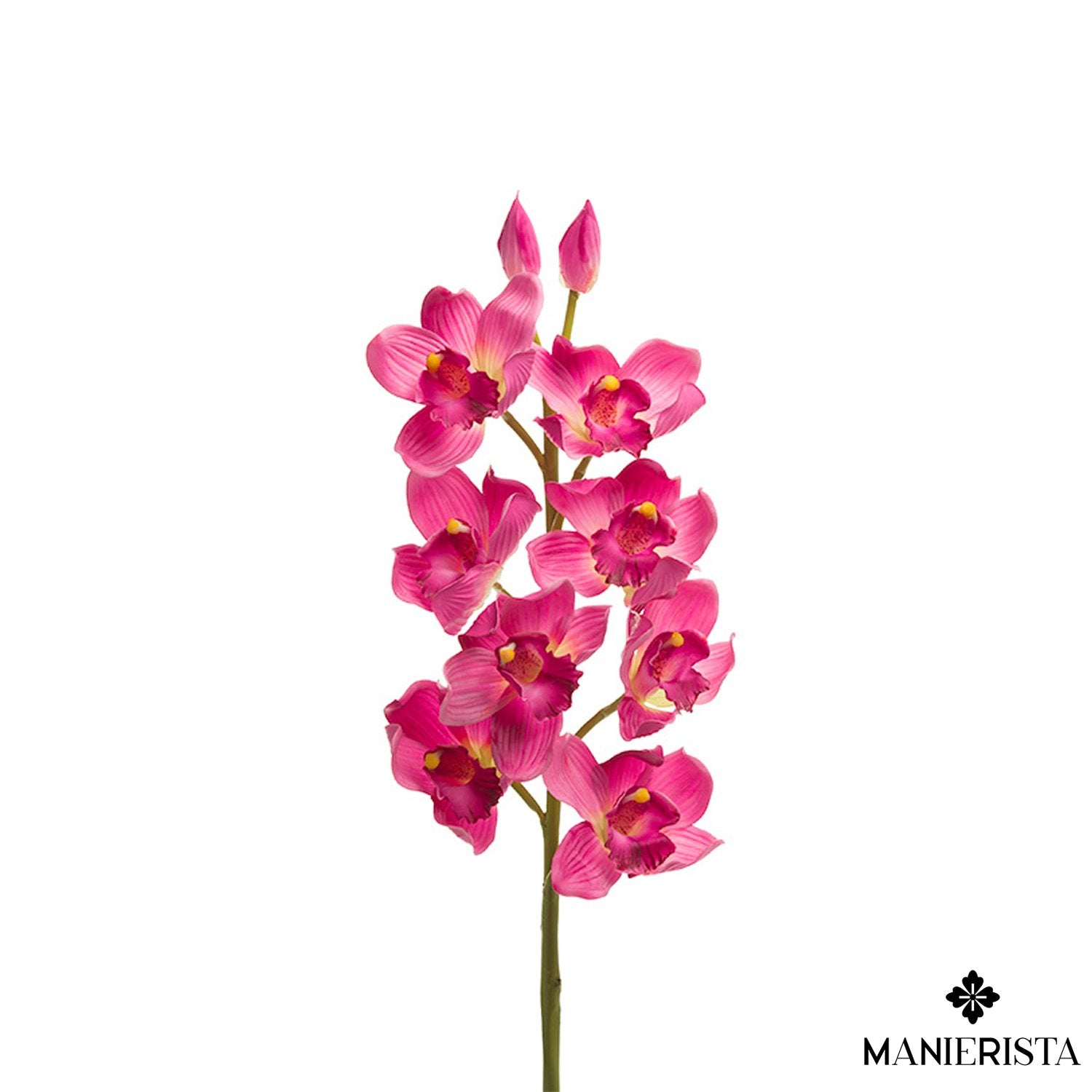 Ramo di orchidea cymbidium con 10 fiori