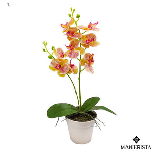 Phalenopsis in vaso - 45 cm