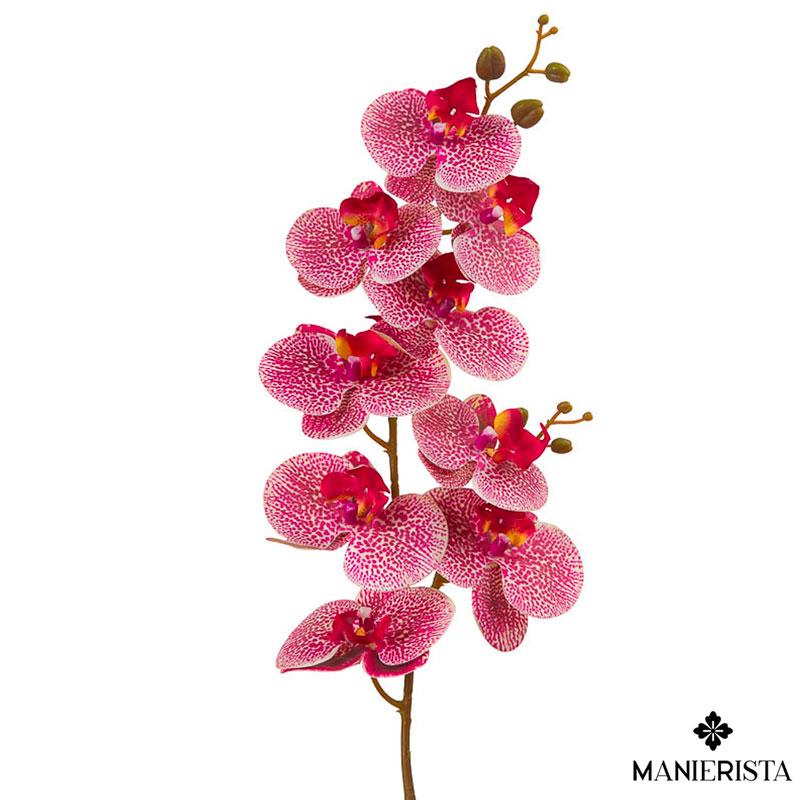 Tralcio orchidea - 100 cm