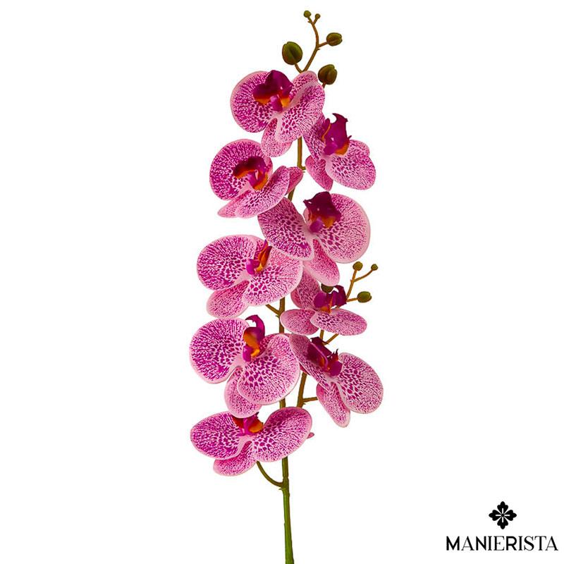 Tralcio orchidea - 100 cm