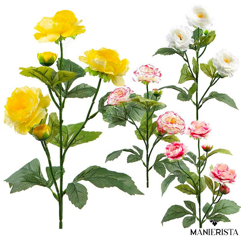 Tralcio con ranuncolo